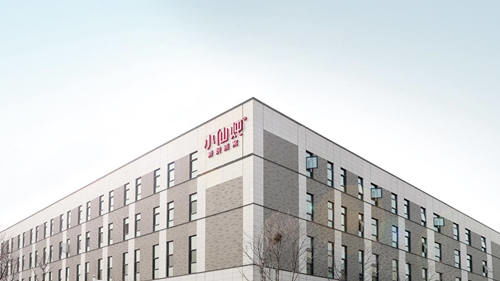 技术驱动新未来 小仙炖霸州工厂获高新技术企业认定，科技赋能燕窝产业高质量发展